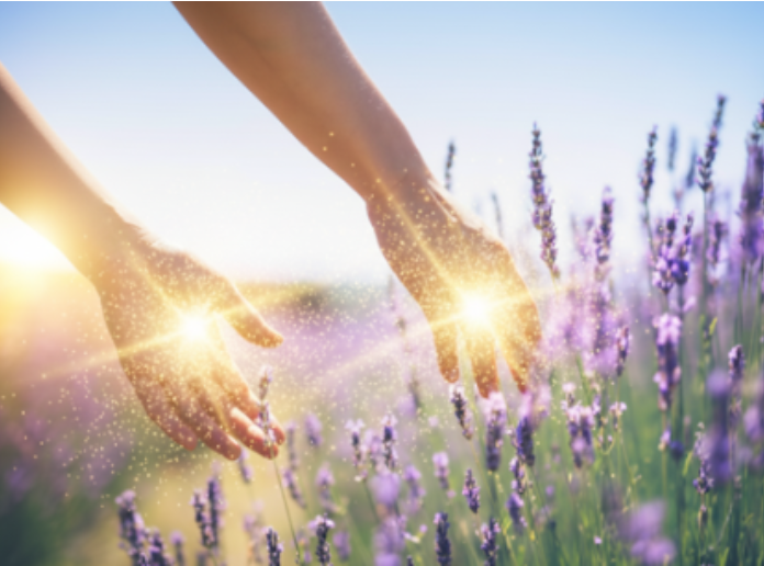 Reiki: mãos que curam, alma que floresce!